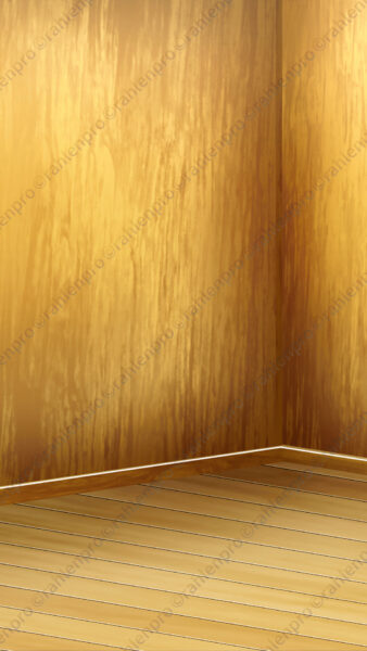 オリジナル　配信　背景　縦　イラスト　ラフ　和風　檜舞台　YouTube