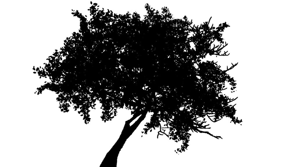 オリジナル　背景　イラスト　素材　シルエット　樹木